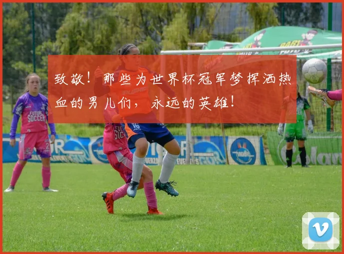 致敬！那些为世界杯冠军梦挥洒热血的男儿们，永远的英雄！