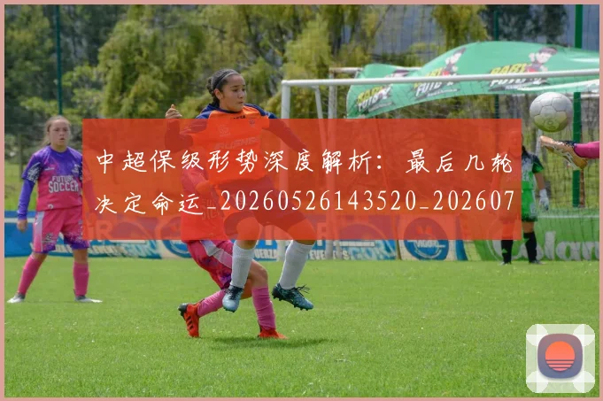 中超保级形势深度解析：最后几轮决定命运_20260526143520_20260703210356